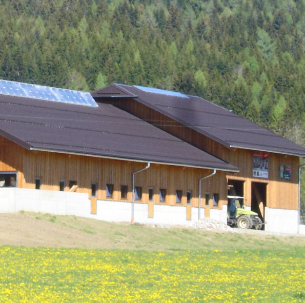 Bauernhof Kinder Familie Urlaub im Lungau in Mariapfarr Hiaslahof